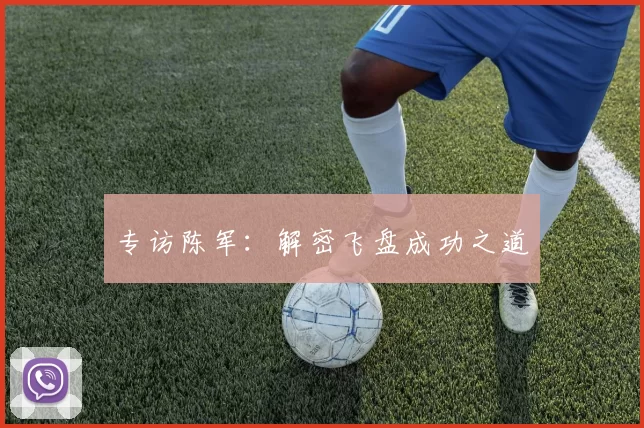 专访陈军：解密飞盘成功之道