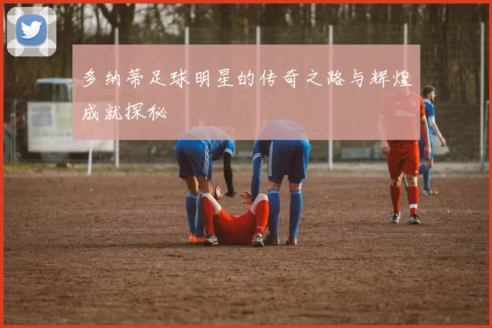 多纳蒂足球明星的传奇之路与辉煌成就探秘