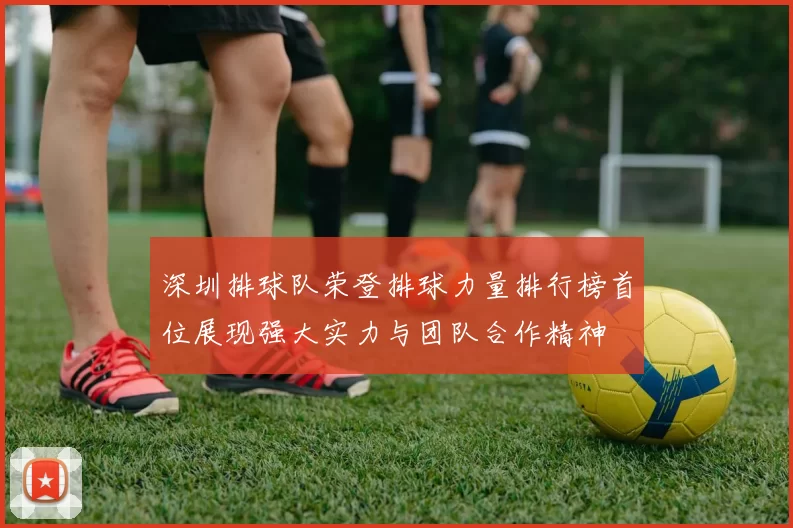 深圳排球队荣登排球力量排行榜首位展现强大实力与团队合作精神