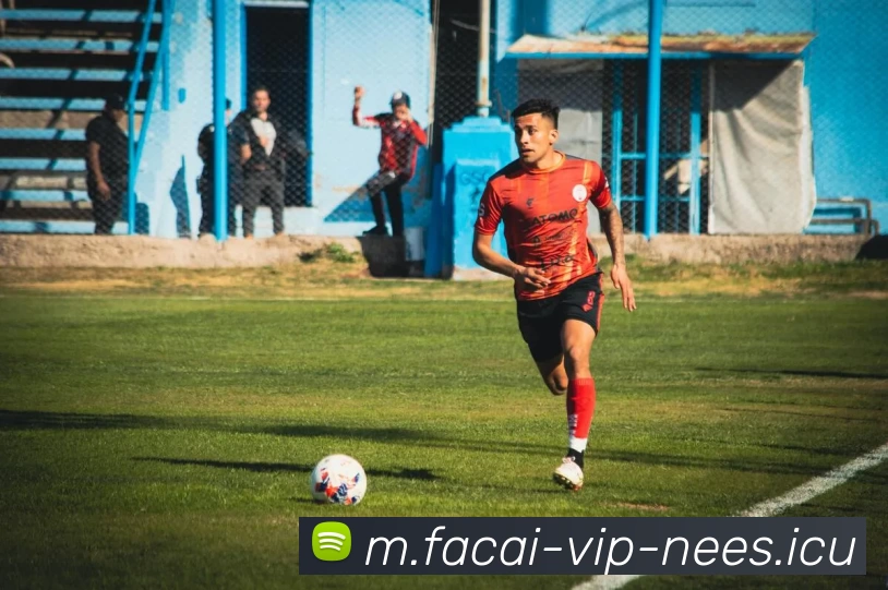 华体会体育APP 封面图